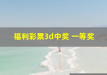 福利彩票3d中奖 一等奖